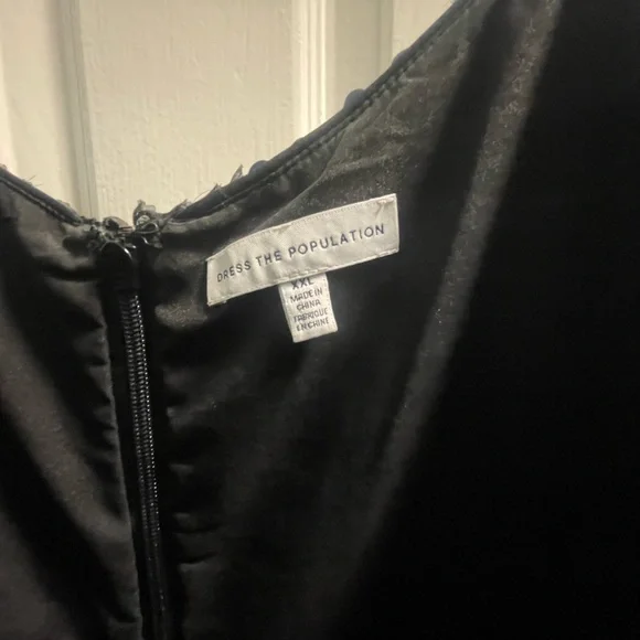 DRESS THE POPULATION FLORA FIT AND FLARE DRESS - Picture 2 of 3